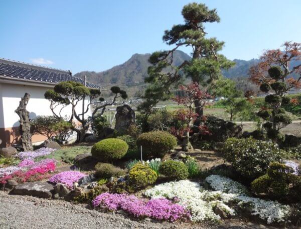 桜の次は 芝桜 塩田まちづくり協議会