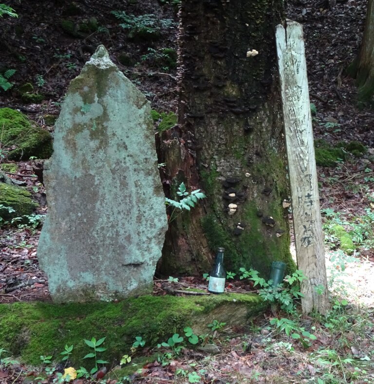 鎌倉殿の13人 その後 塩田北条氏滅亡 塩田まちづくり協議会