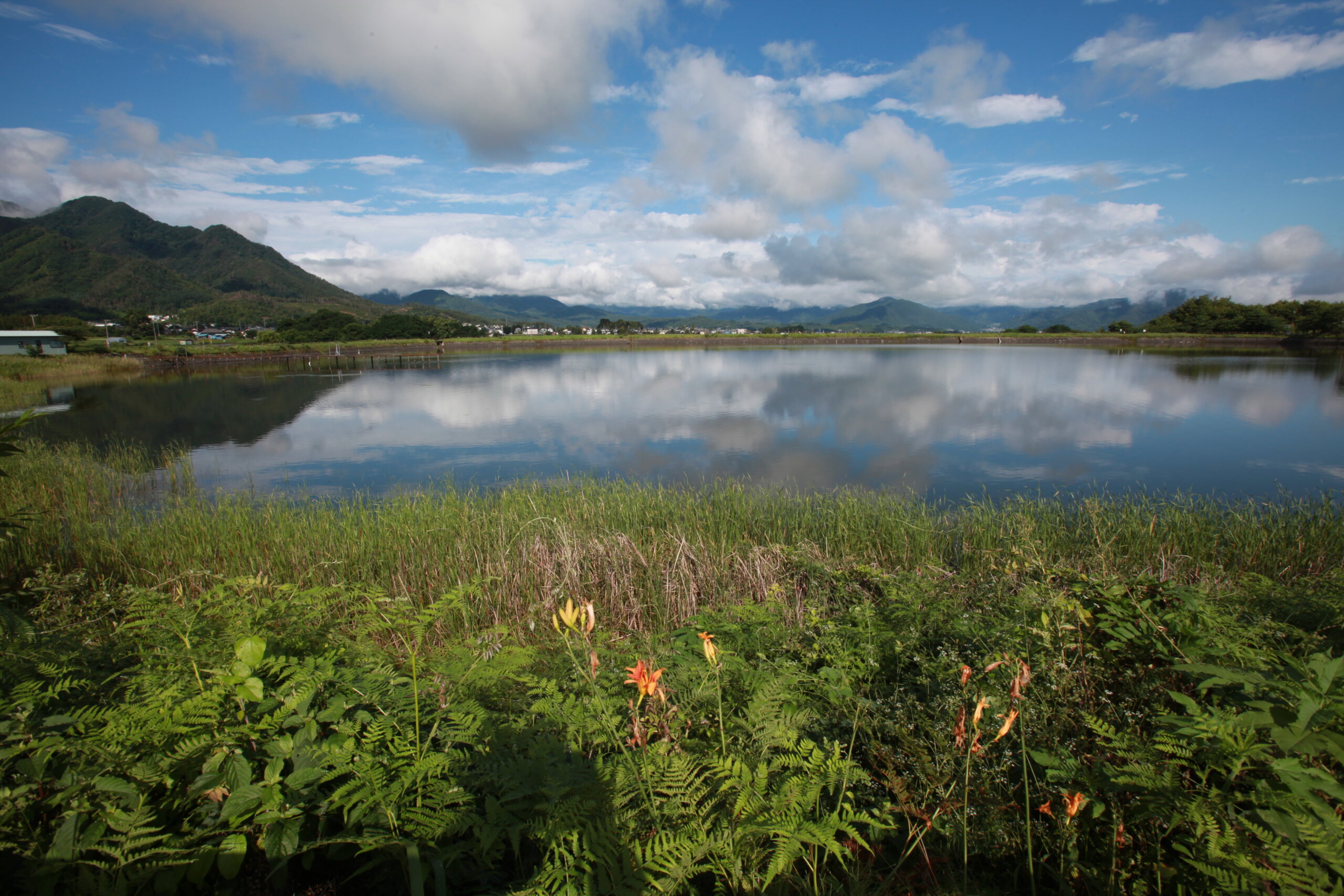 北の入池 | 塩田まちづくり協議会