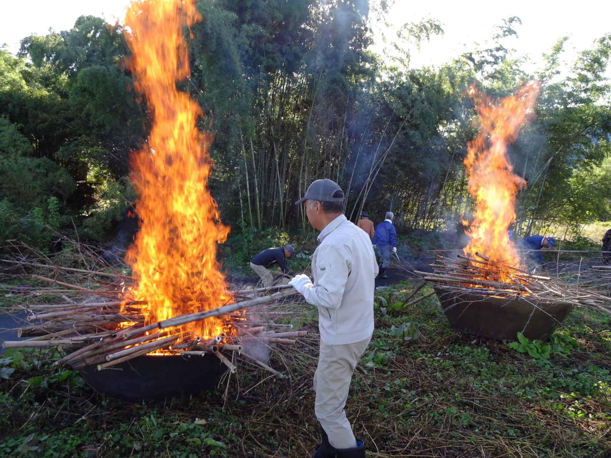 焚き付け用　竹　10〜12キロ 立派なタケノコが採れる竹林に変える！！② 切った竹を炭にする | 塩田